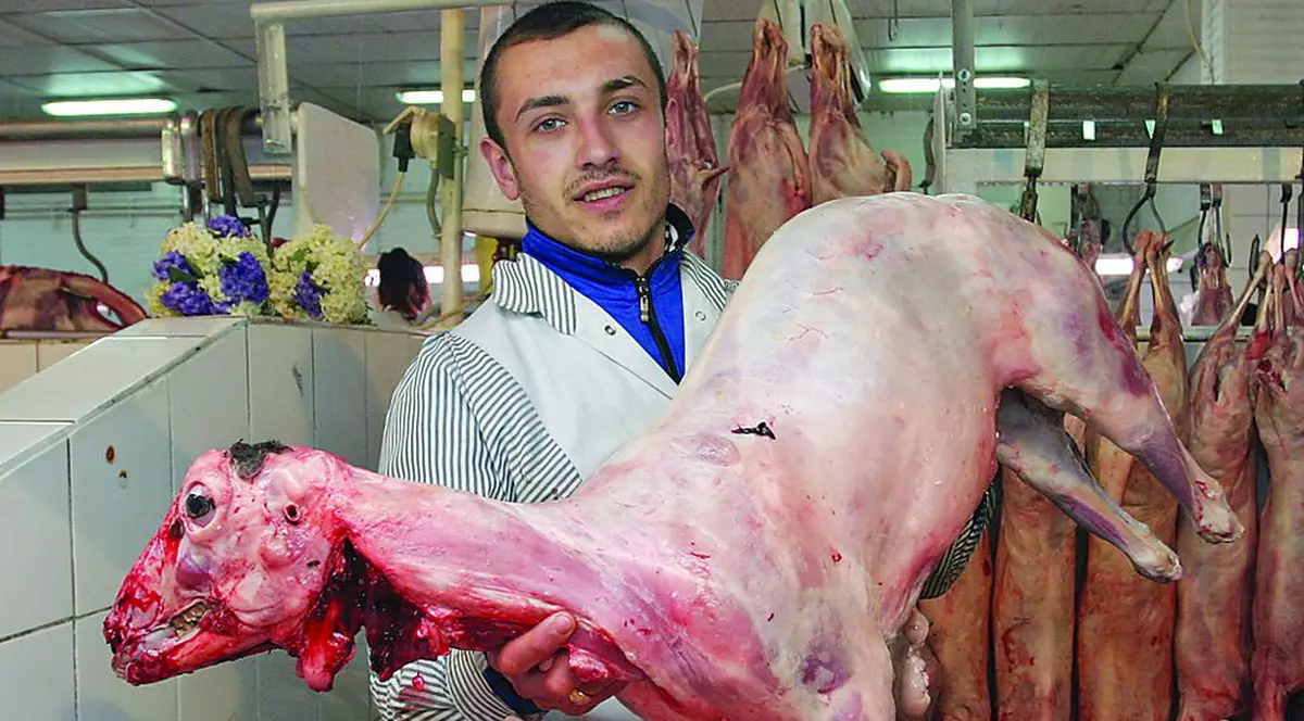 240 de lei mielul de Paşte