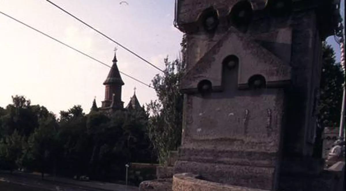 Curăţarea râului Bega a scos la iveală adevărate comori