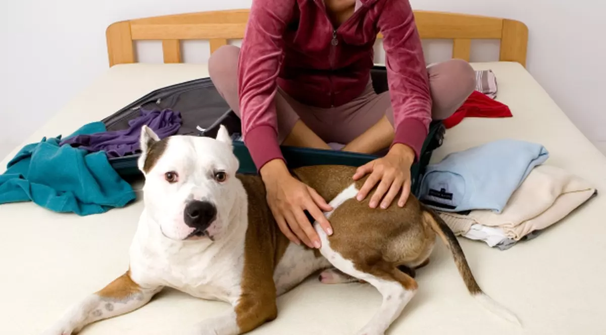 Avea în stomac o grămadă de haine