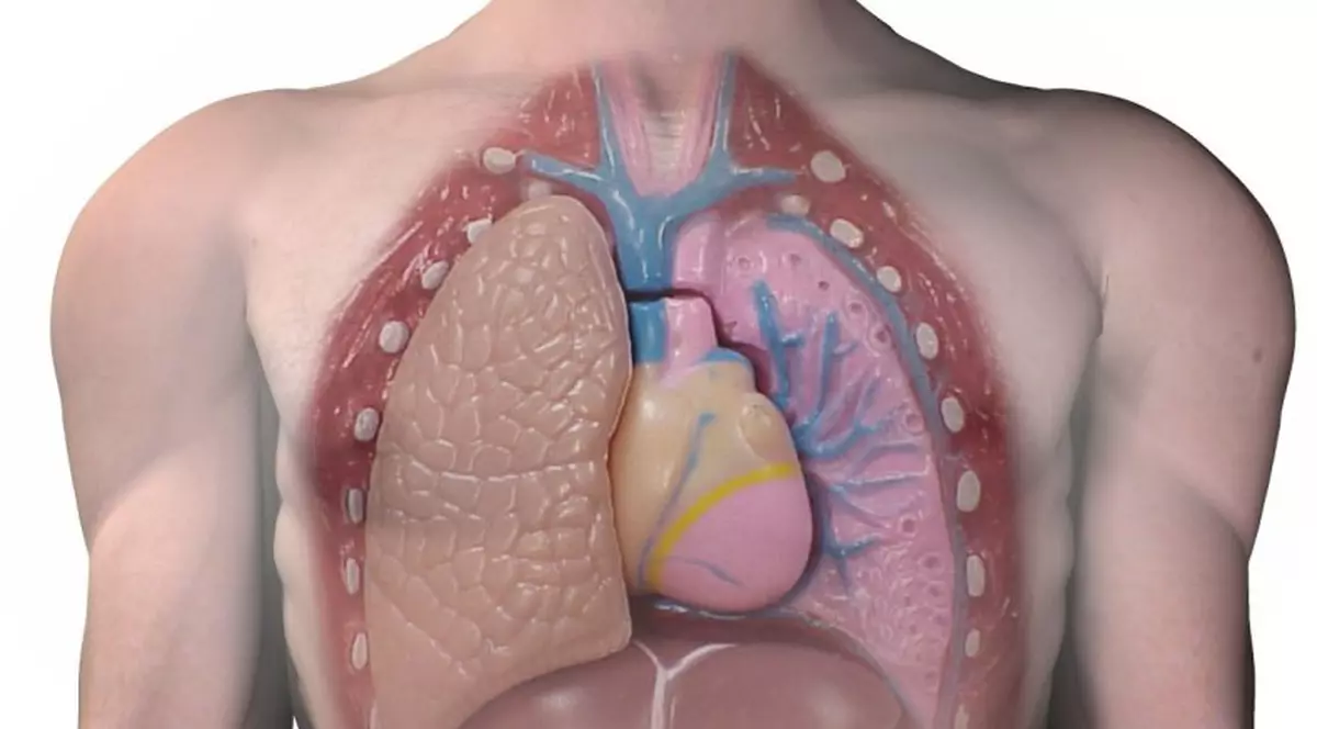Au găsit un arbore de cinci centimetri în plămânul unui bărbat