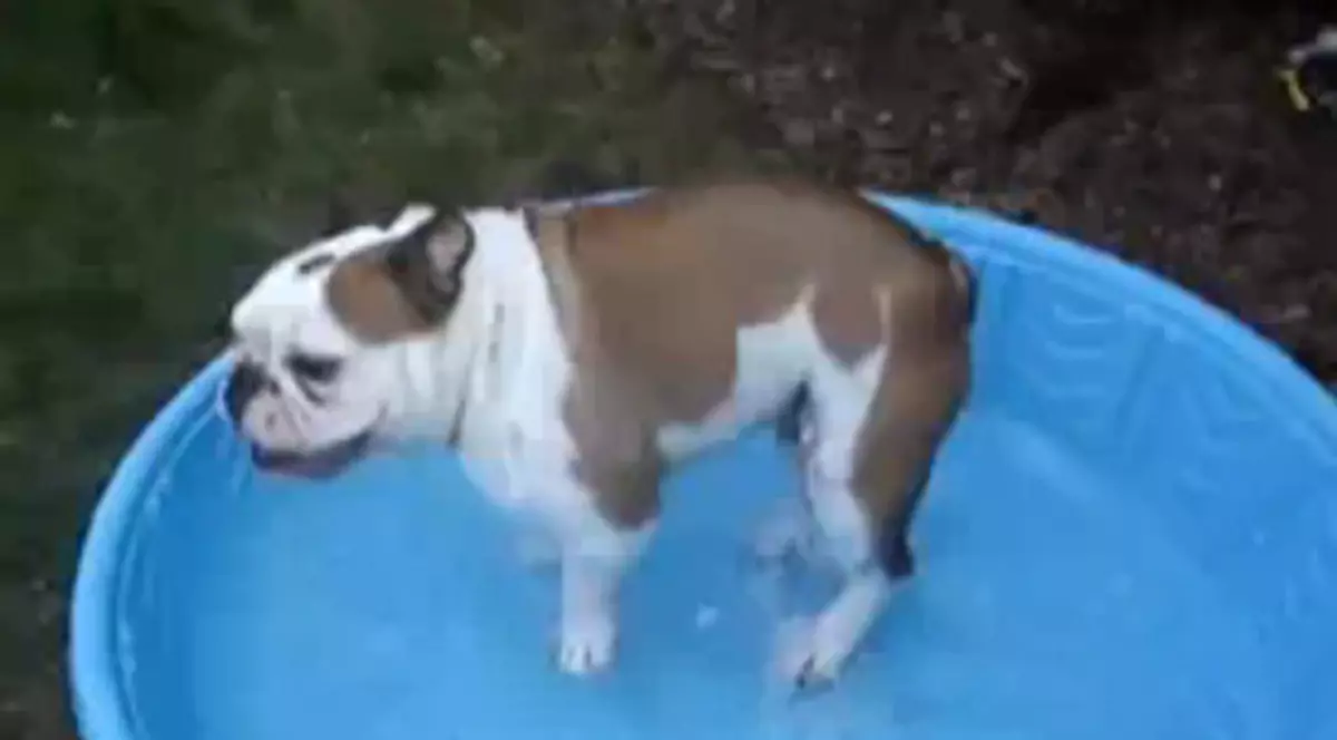 Mamă, ce piscină mişto am!