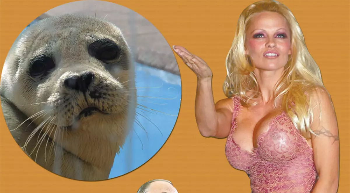 «Domnu’ Putin, ajutaţi-mă să salvez focile!»