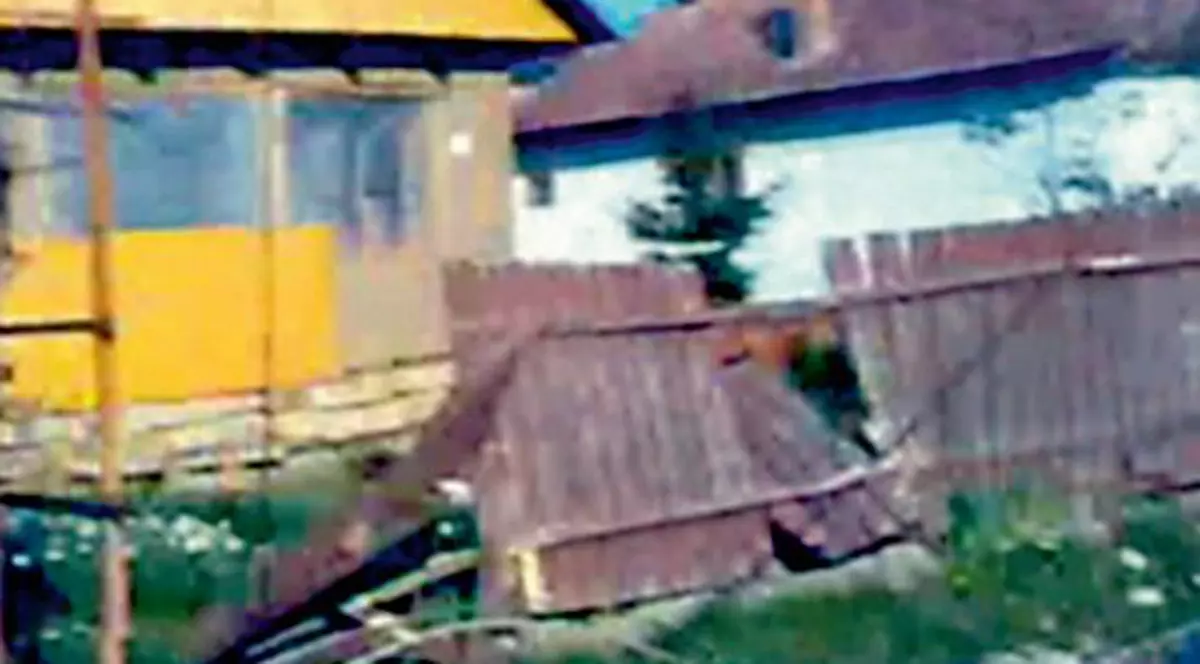 Bunică şi nepoată, ucise de un microbuz