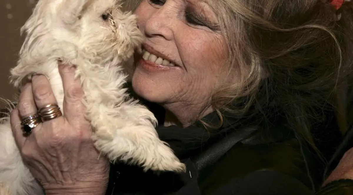 Brigitte Bardot acuză Egiptul de laşitate pentru sacrificarea porcilor