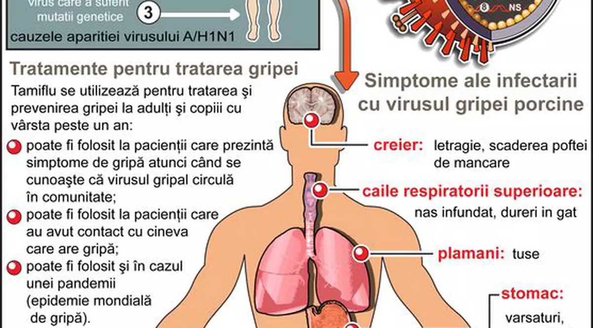 Măsuri de prevenţie împotriva gripei porcine