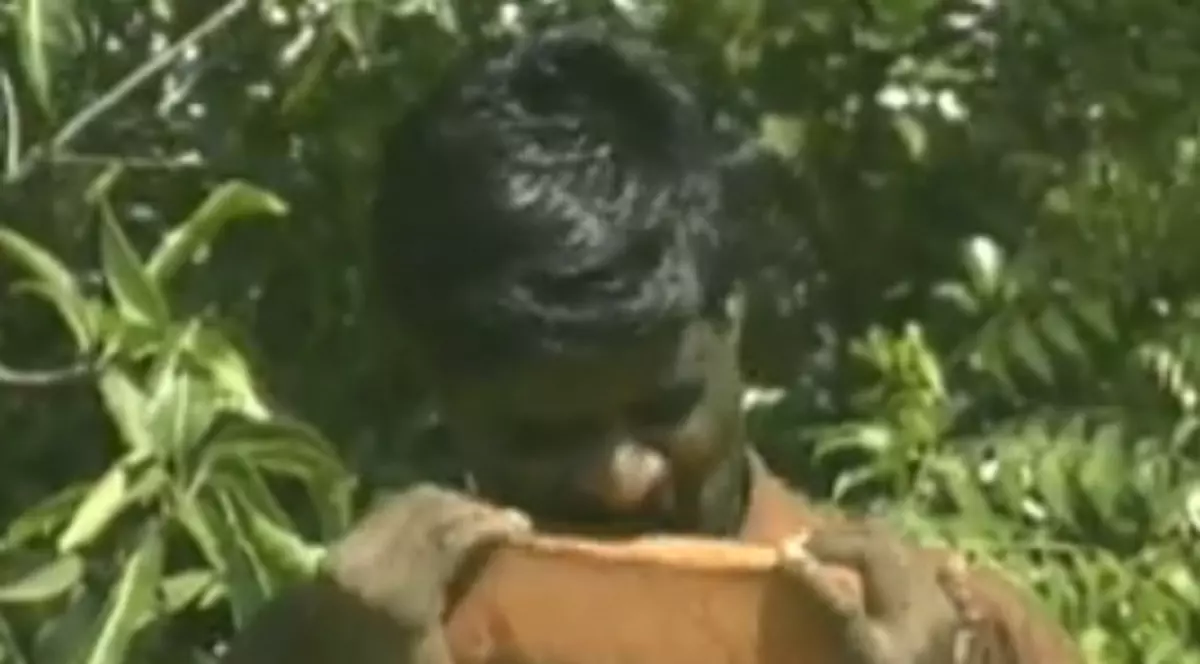 Mănâncă nisip şi cărămizi / Video