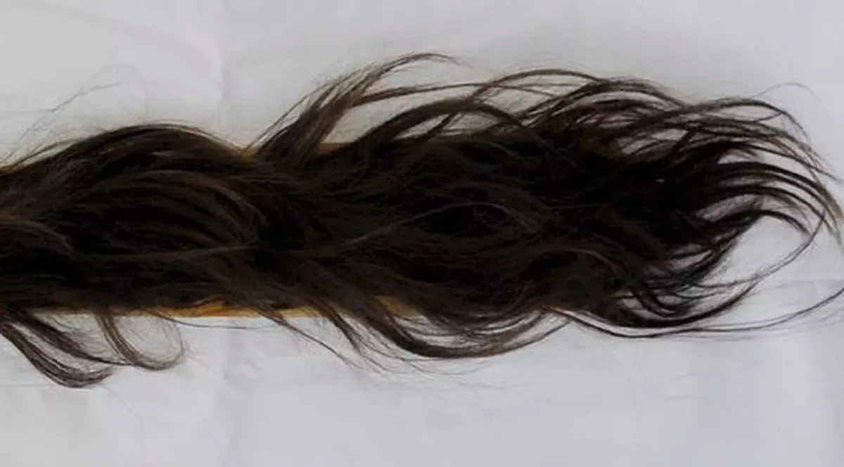 S-a descoperit cel mai vechi păr uman