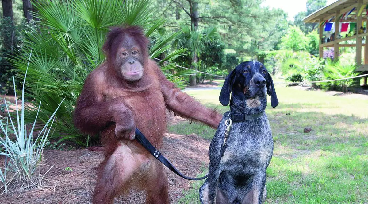 Ce prietenie ciudată!