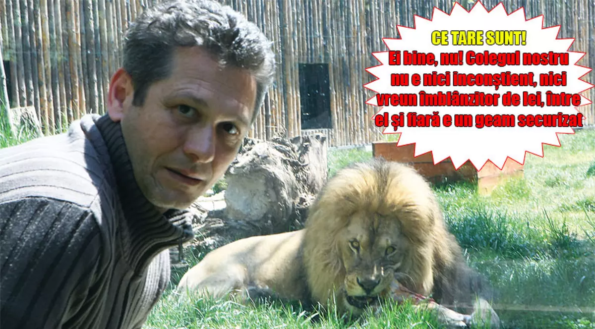 Nu mi-e frică de leul cel rău!