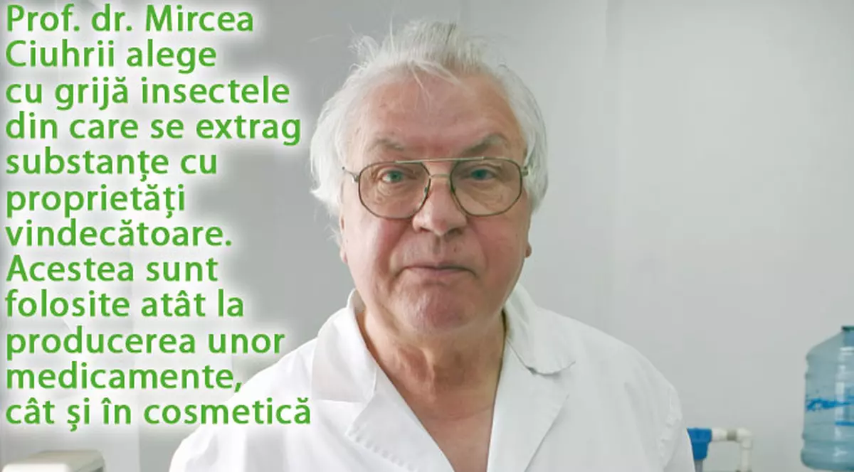 Vindecă-te cu ajutorul gândăceilor