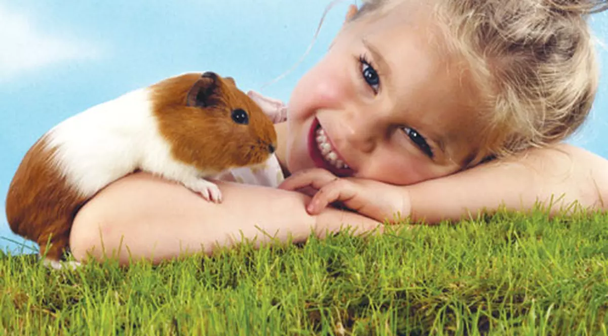 Mami, vreau şi eu un animăluţ!