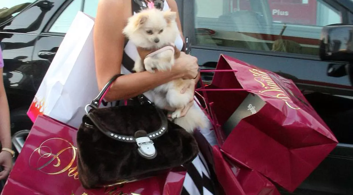 Câinii lui Paris Hilton au vilă de lux