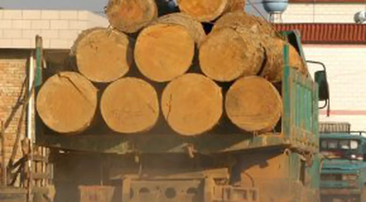 A murit după ce s-a răsturnat cu camionul