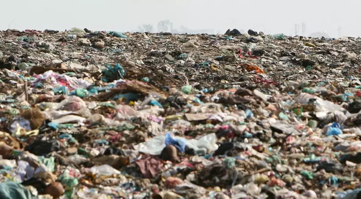 Au aruncat la gunoi un milion de dolari