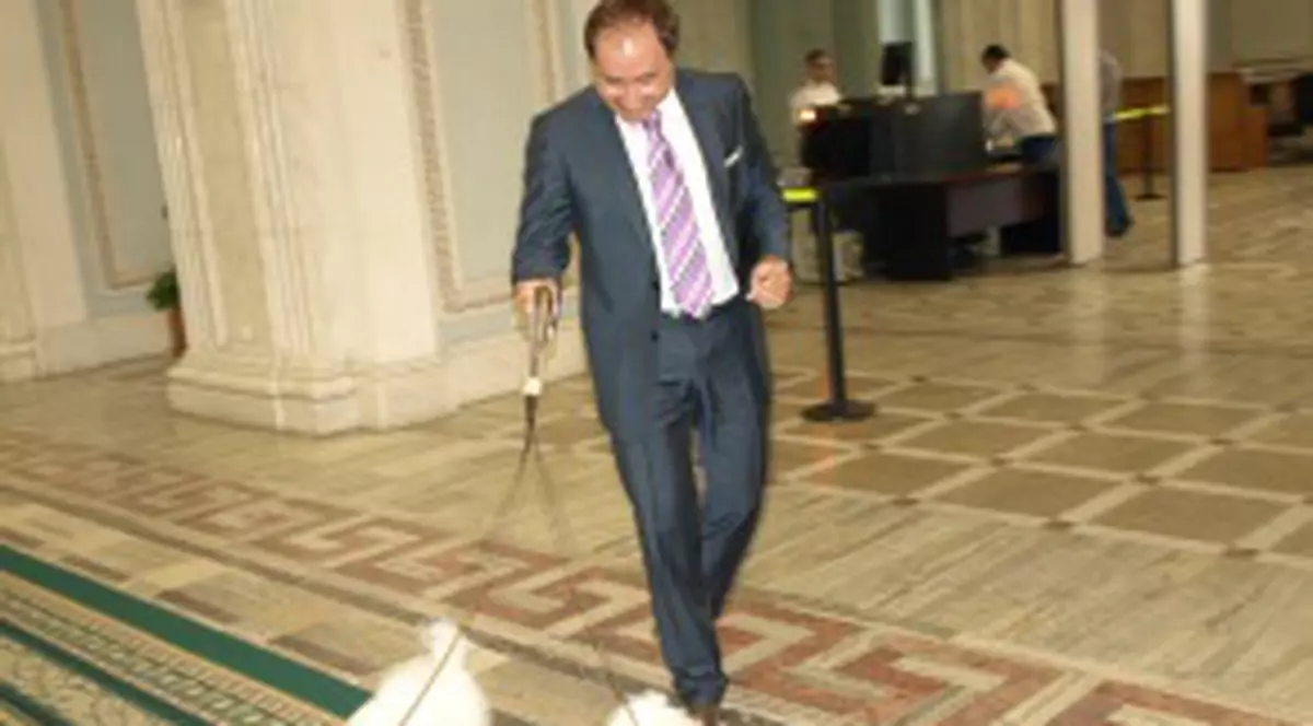 Au venit cu căţeii la Parlament!