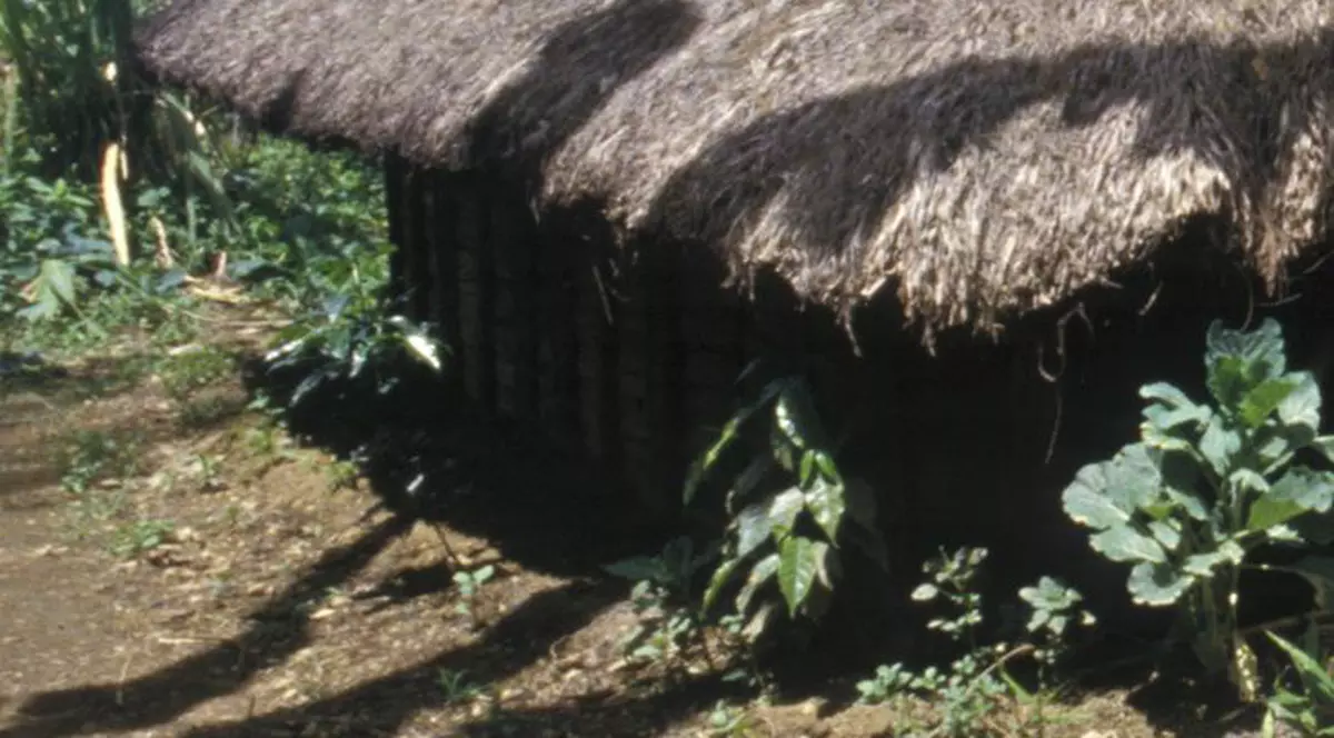 O criză de gelozie pune pe jar 100 cămine