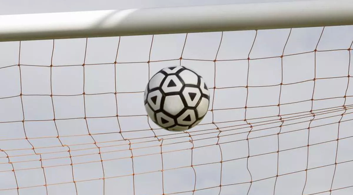 Şase cluburi din România au încălcat Regulamentul UEFA de licenţiere