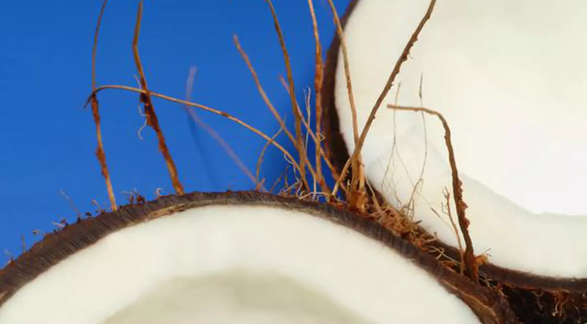 A spart patru nuci de cocos cu un deget 