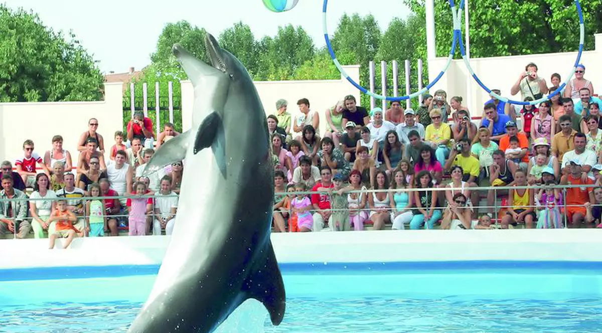 Delfinul Mark iese la pensie!