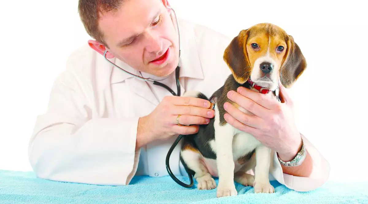 Leafa unui medic veterinar, 5.850 de lei 