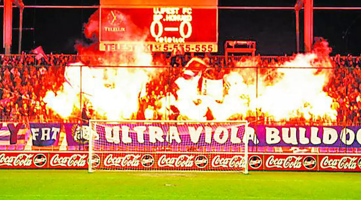 Violeţi şi violenţi