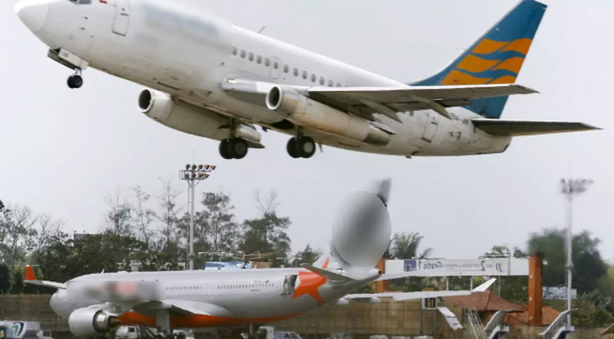Vor să ceară suspendarea flotei Airbus