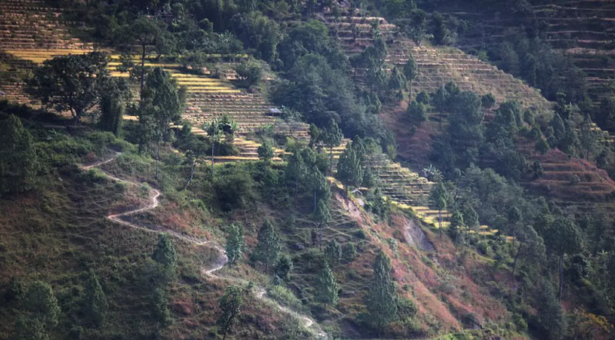 Autobuz căzut într-un râu, în Nepal. 22 de oameni au murit