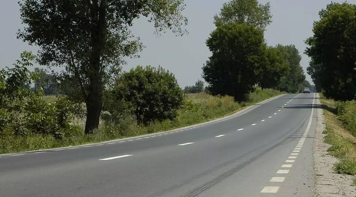 Omorâtă în timp ce vindea pepeni