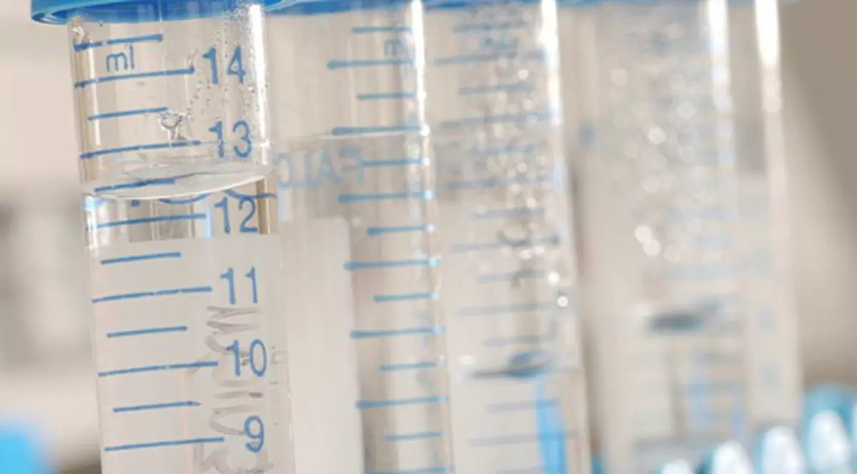 OMS şi ONU, acuzate de bioterorism şi genocid