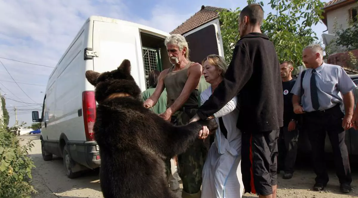 O familie din Pantelimon a crescut patru urşi în curte