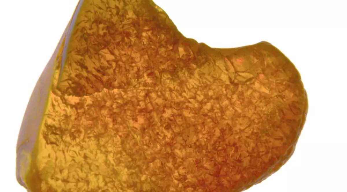 Alege piatra care-ţi place!