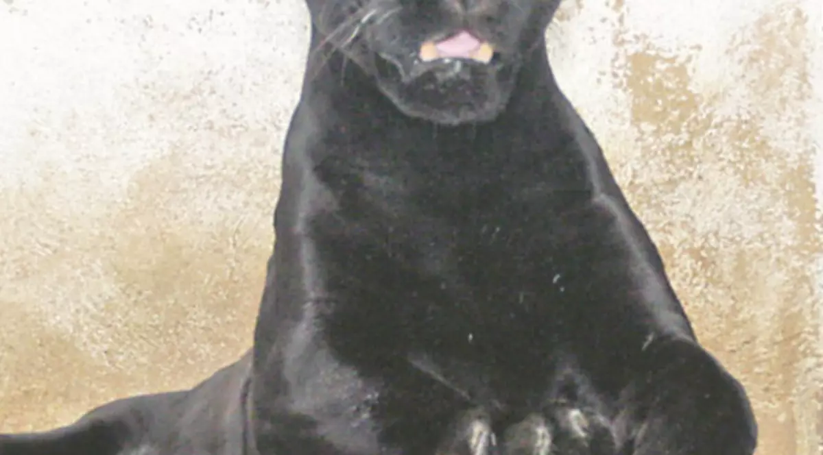 Şi-a serbat ziua de naştere cu iubita