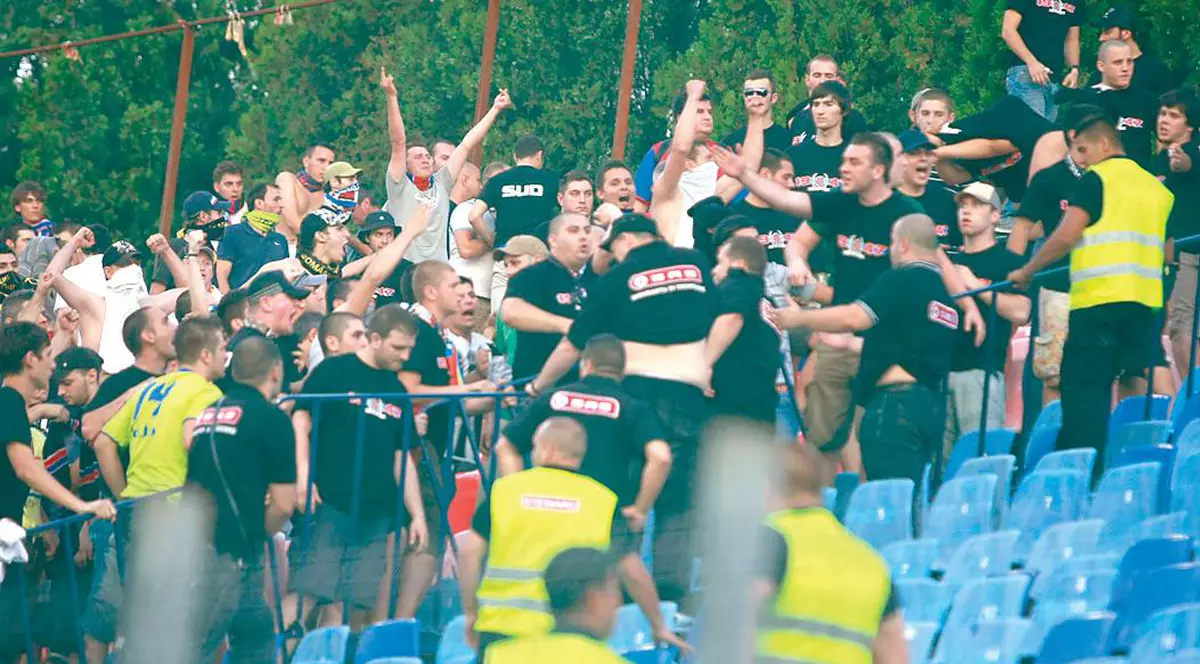 Steliştii nu se tem