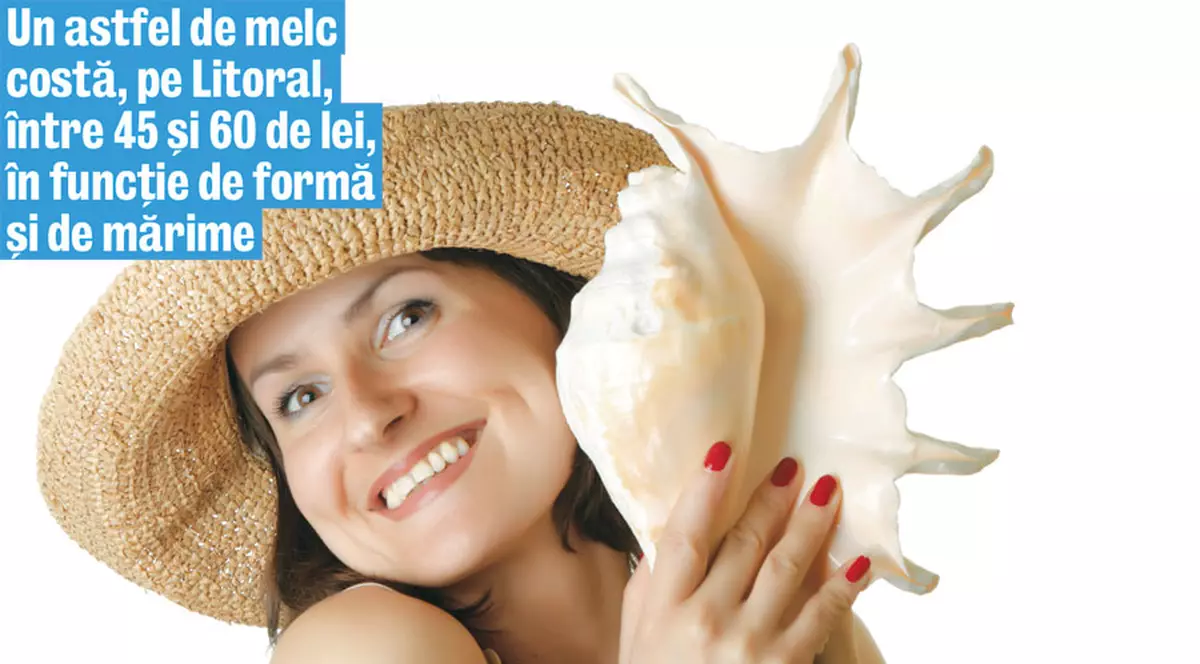 Decorează-ţi casa şi curtea cu scoici