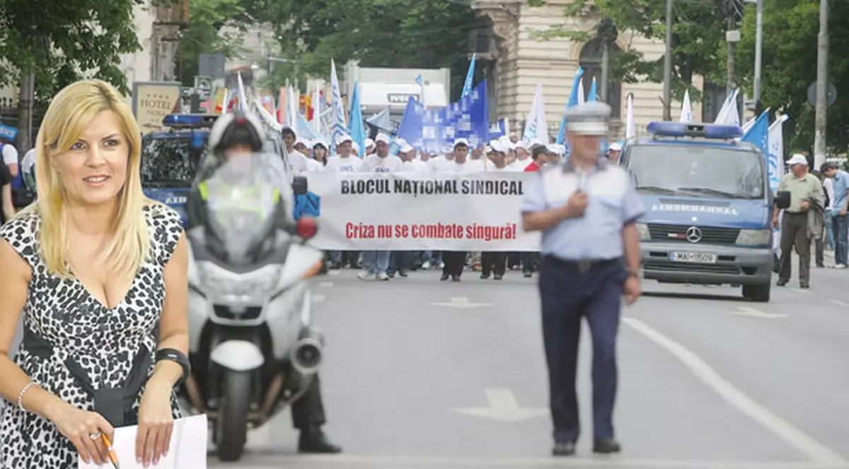 Poliţiştii vor o "clonă" a Elenei Udrea la Interne