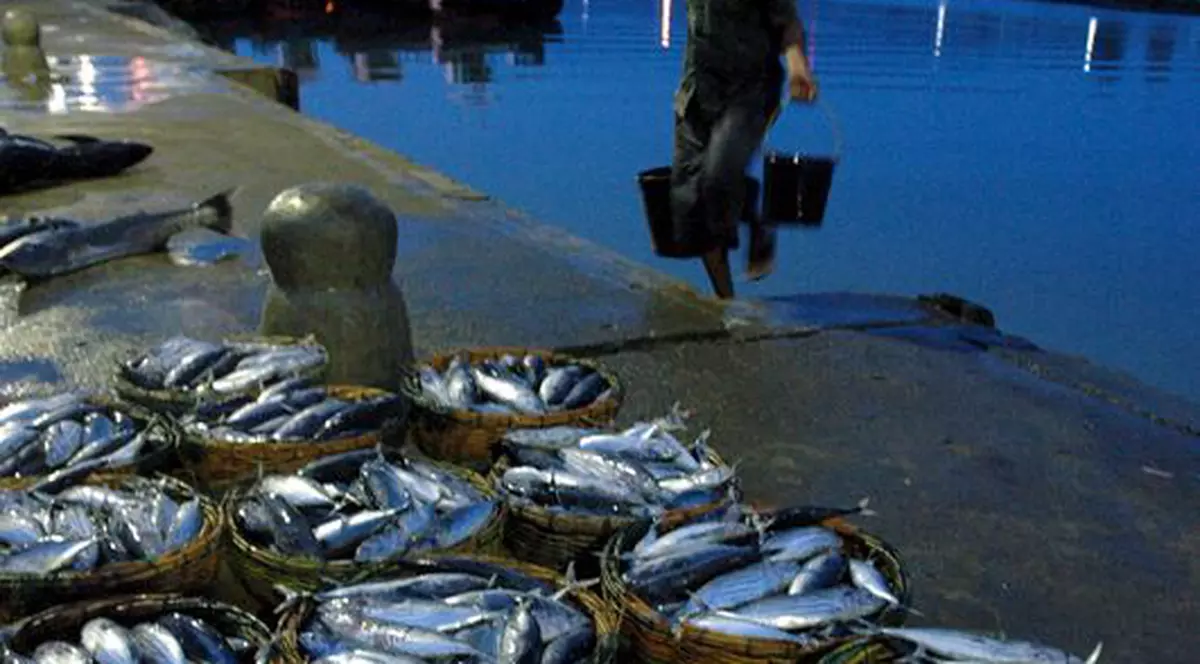 Peştii din Statele Unite conţin mercur