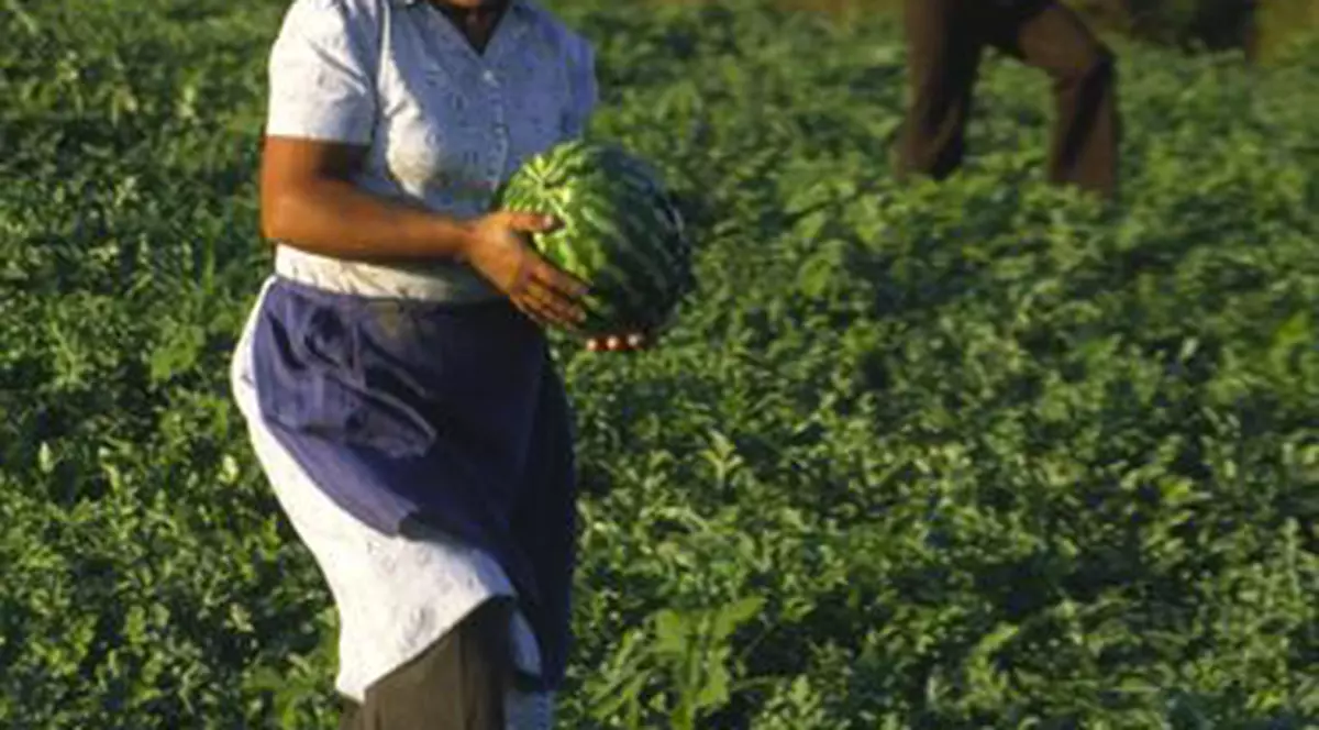 România competitivă: Asocierea fermierilor costă statul sute de milioane de euro