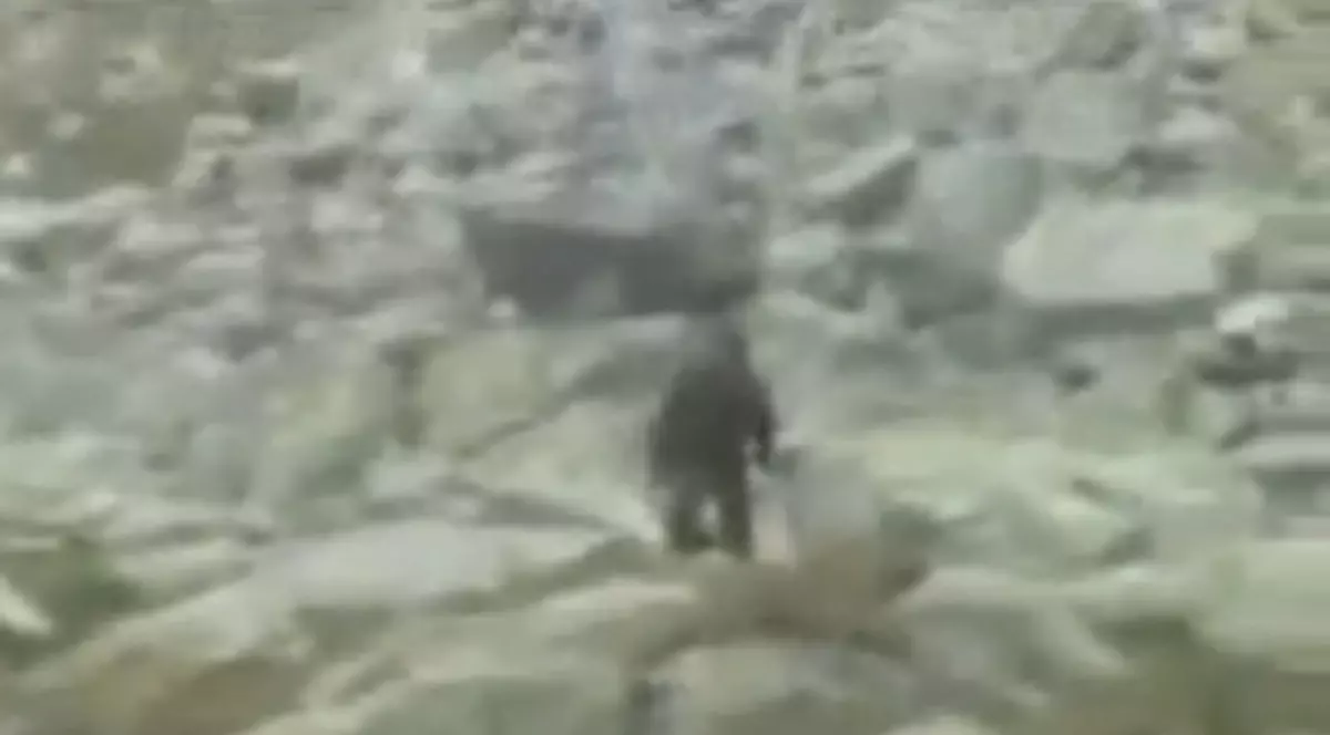 Video / Yeti locuieşte în Polonia?