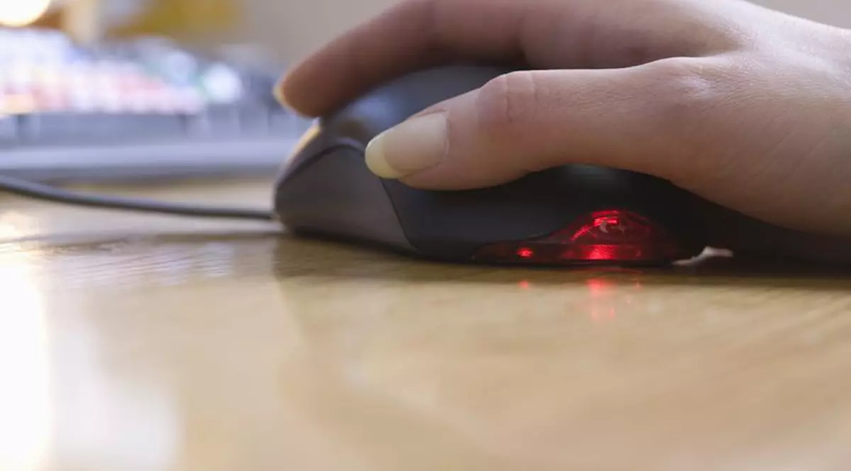 Tânără dispărută după ce a plecat la un curs de informatică 