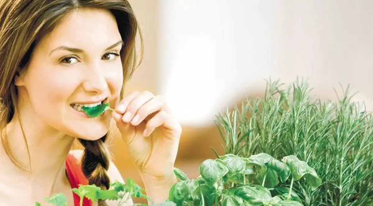 Tu ai plantele acestea acasă?