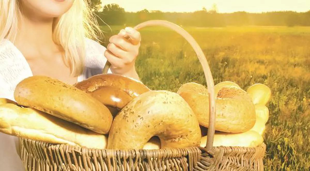 Turtele cu măsline vindecă ulcerul