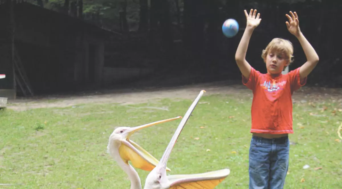 Un băieţel de 9 ani din Germania joacă volei cu pelicanii