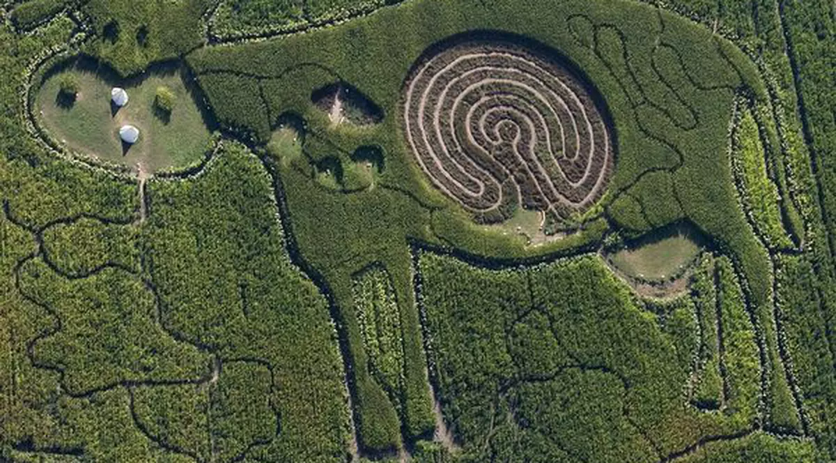 Vaca pe care o putem vedea şi din avion