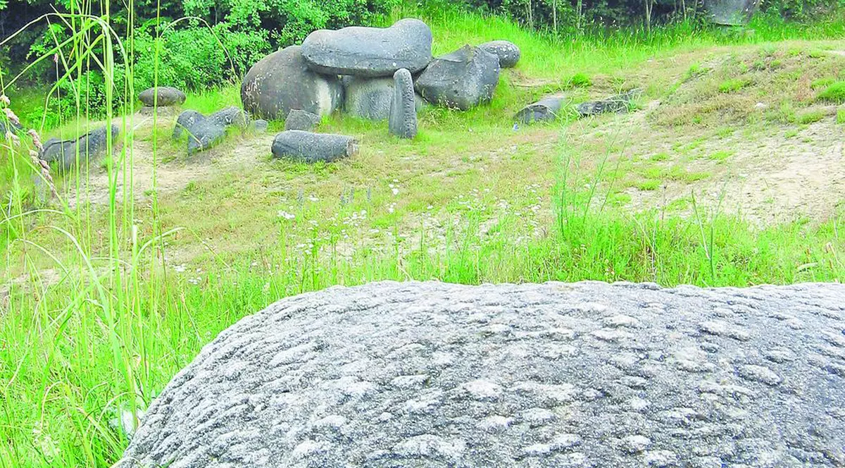 Pietrele care fac pui