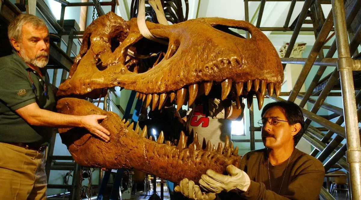 Vinde oase de dinozaur cu 6.000.000 $