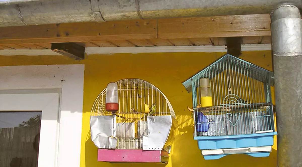 Balaurul, paznic la scatii