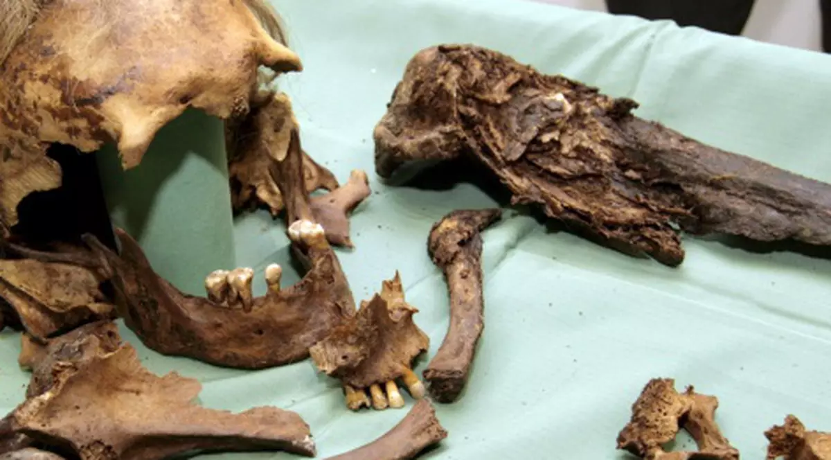 Scheletele a patru copii, găsite într-un apartament din Germania