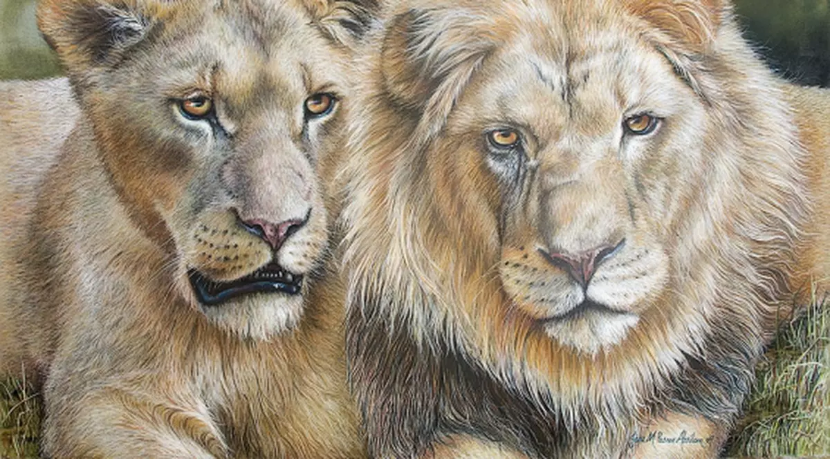 O artistă britanică licitează o pictură pentru a salva leii de la Oradea