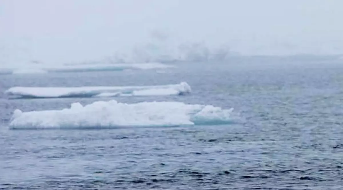 Peste 20-30 de ani calota polară arctică se va topi complet