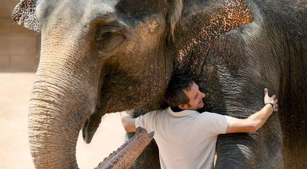 Un reporter BBC a murit strivit de elefant